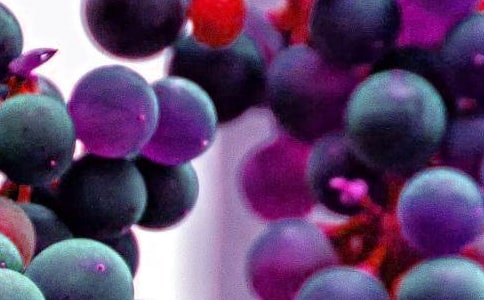 有關(guān)于水果的諺語