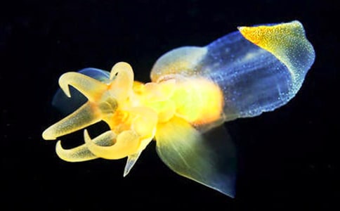 ˮĸ������ͨ��15ƪ