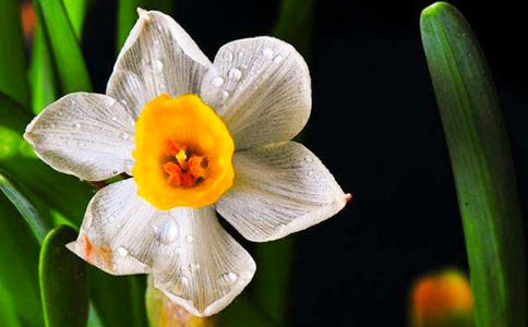 ˮ�ɵ����ģ���(y��u)�x��