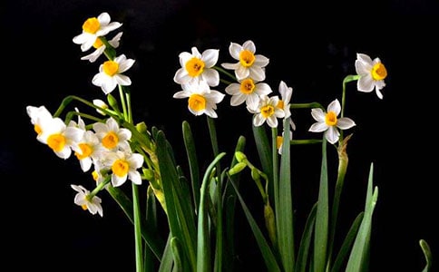 ˮ�ɵ�����[��(y��u)�x]