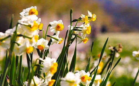 (��(j��ng)��)ˮ�ɻ�����15ƪ