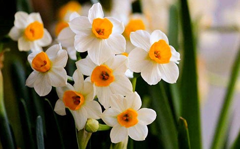 ˮ�ɻ�[��15ƪ]