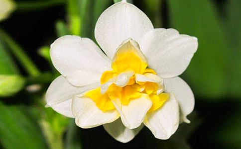 [��(y��u)�x]������ˮ�ɻ�����15ƪ