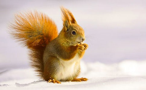 �����ͯԒ����300��[���A4ƪ]