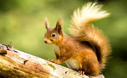 ����̌W(xu��)��(sh��)�