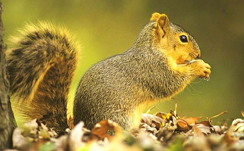 �P(gu��n)�������ͯԒ�����\��8ƪ