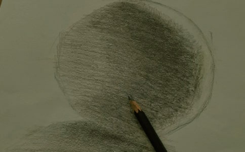 ���胞(y��u)������