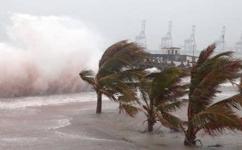 臺(tái)風(fēng)來(lái)了作文15篇(集合)