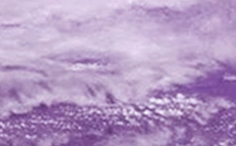 關于臺風的通告