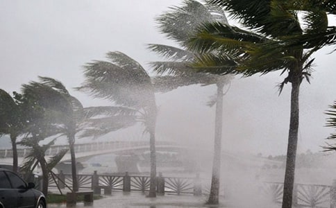 �_(t��i)�L(f��ng)�Z�L(f��ng)���γ�