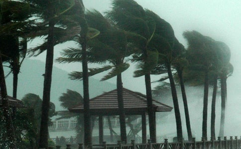 [����]�_�L�^������15ƪ