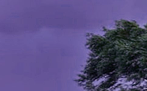 臺(tái)風(fēng)無情人有情