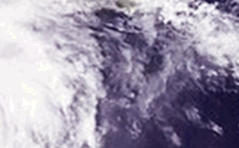 臺風過后作文【精華】