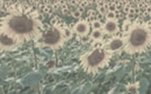 ��̫ꖻ��^����ӛ