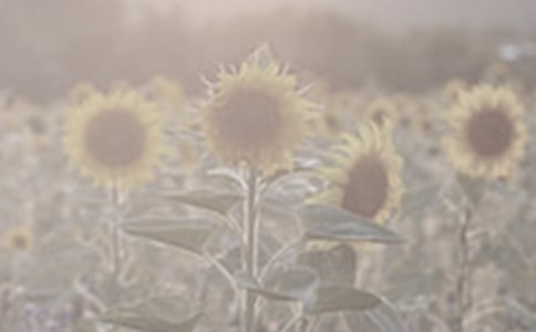 �^��̫ꖻ���ӛ400��