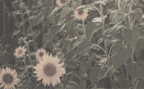 �����̫ꖻ��^����ӛ