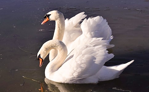 �����Z����200��