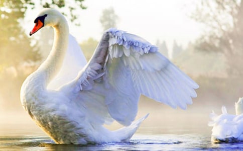 [�ϼ�]���Z������