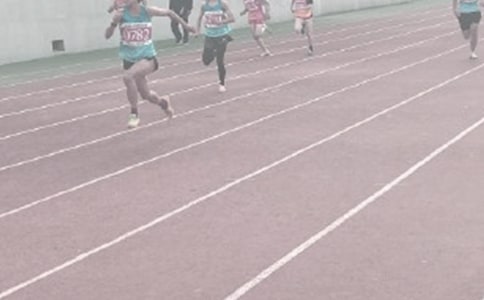 �Ӗ������