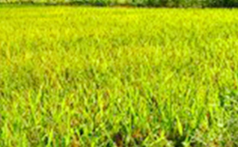 ����Ұ�ϓ쵽�ġ��_�ġ�