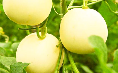 ���x��ϵķ���