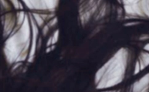 【精選】剪頭發(fā)作文15篇