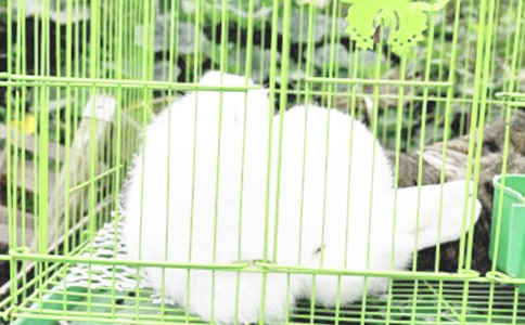 �x�Ї�(gu��)���ӵ�(gu��)���и�