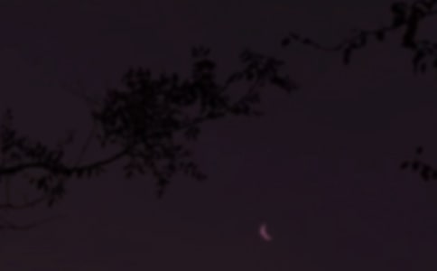 2023年實(shí)用的每日一句晚安心語(yǔ)短信合集37條