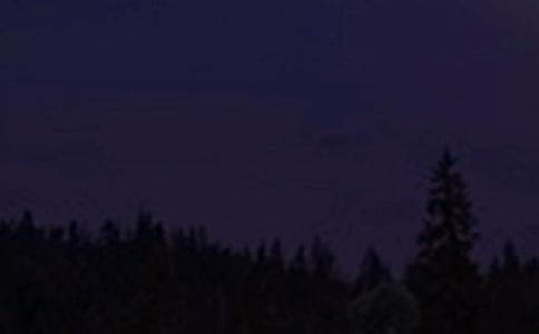 2025年精選每日一句晚安心語(yǔ)短信錦集71句