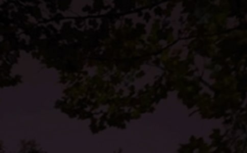 ��(j��ng)���־�����f�f