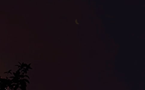 ����Ψ���������ţ����x150�䣩