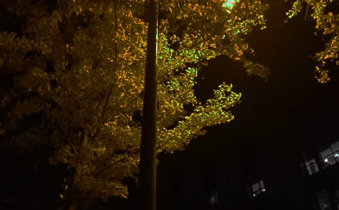 ���P(gu��n)ÿ��һ���������Z(y��)�����\��69��