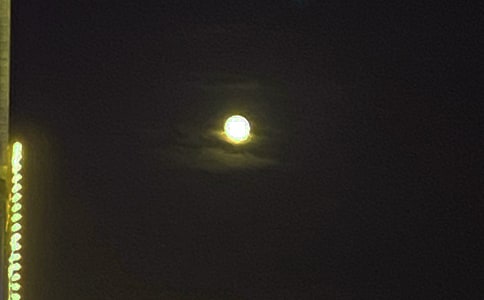 ���ε�Ψ�����������Z���źϼ�33�l