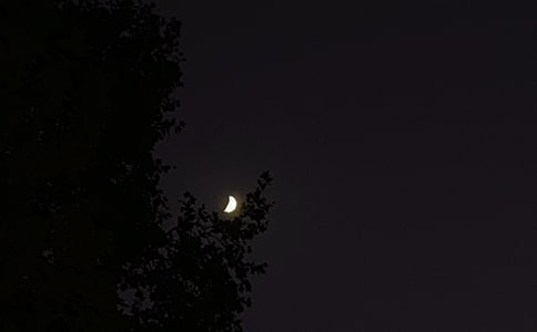 �����T��2025������ϵ�������Z(y��)���ż��\33��