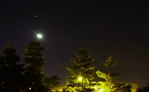 ���x�������Z�����\��77��