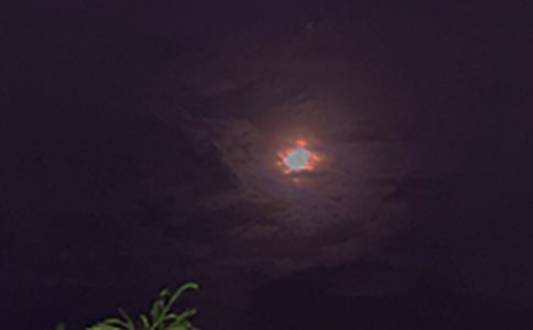 推薦個(gè)性晚安祝福語(yǔ)大全(精選50句)