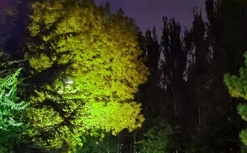 ���P(gu��n)Ψ�����������Z���ŅR��69�l