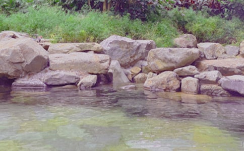 �ݜ�Ȫ����[��(y��u)�x15ƪ]