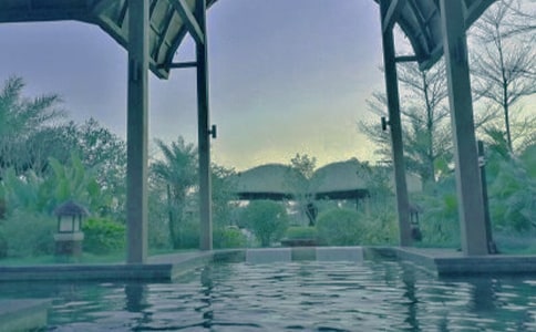 ����(y��u)�x���ݜ�Ȫ����