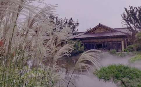 �ݜ�Ȫ����[���x]