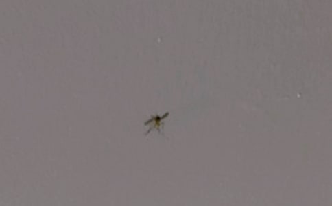 �ɐ�����������