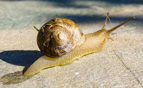 ΁ţ�^����ӛ