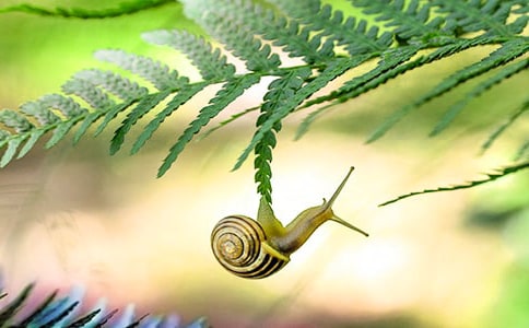 ΁ţ�^����ӛ�����]��