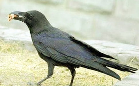 ���f��ˮ��˼