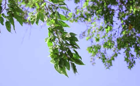 經(jīng)典溫馨午安說說60句