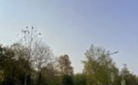 關于暖心午安說說30句