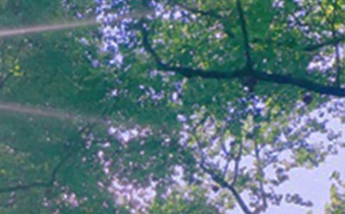 �P(gu��n)������Ȧ�簲�f�f��ͨ��50�䣩