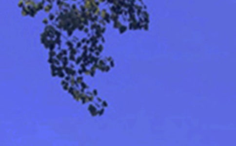 午安心語簡短帶點幽默