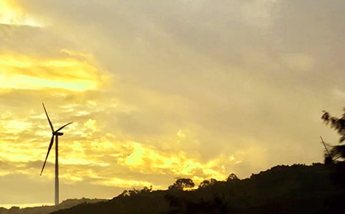 �P(gu��n)���������簲���ţ����x50�䣩