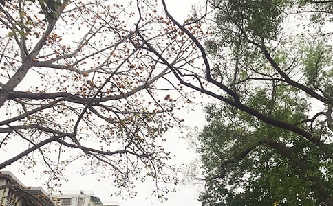 ����Ȧ�簲�f�f��ͨ��40�䣩